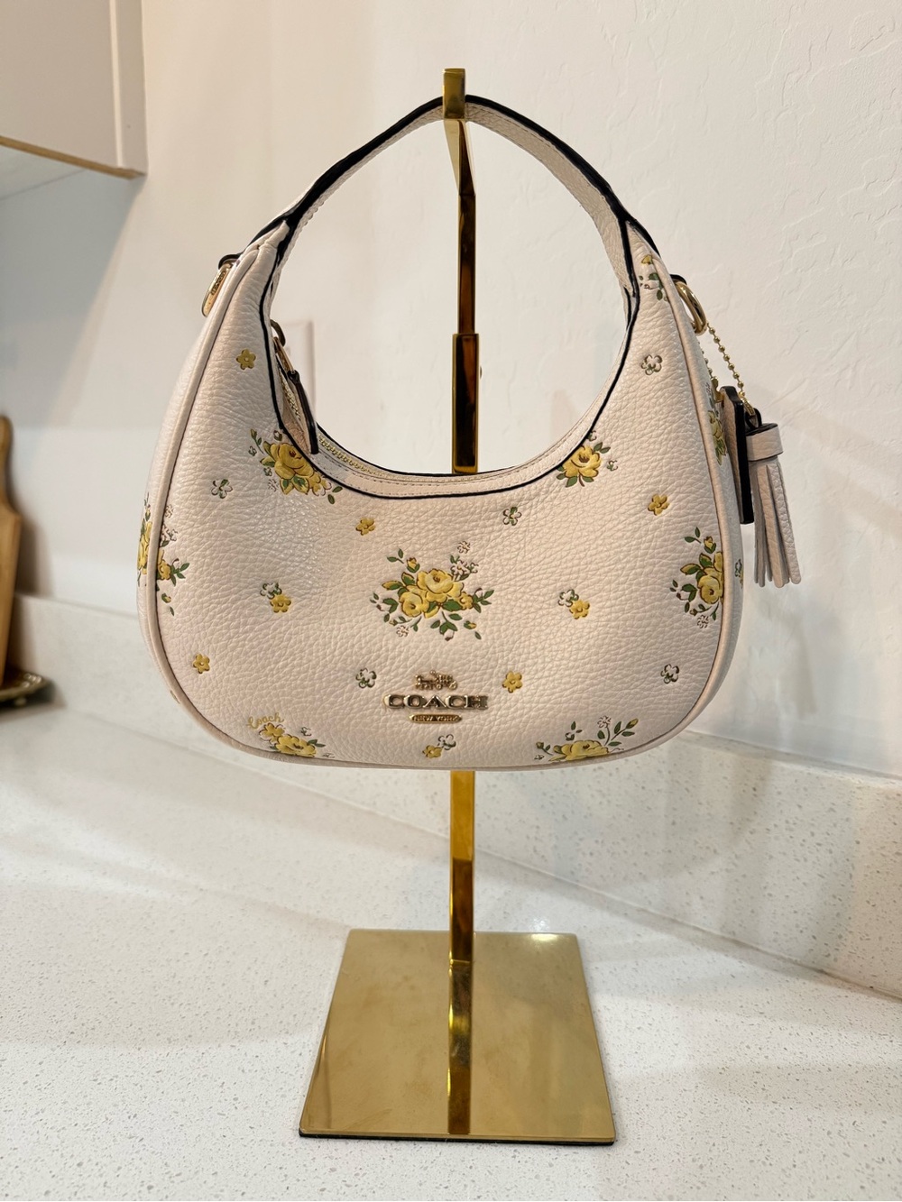 COACH Mini Hobo Bag